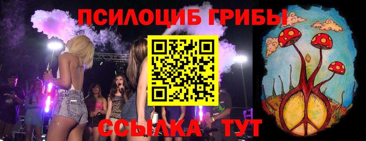 Тулун  Галлюциногенные грибы мухоморы  Вход с VPN  Галлюциногенные грибы мухоморы 
